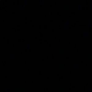 Meet your Posher, Leonardo